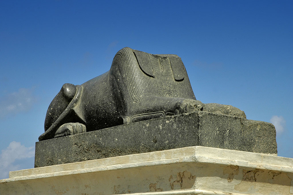 Sphinx at the Serapeum - minus a head! 
